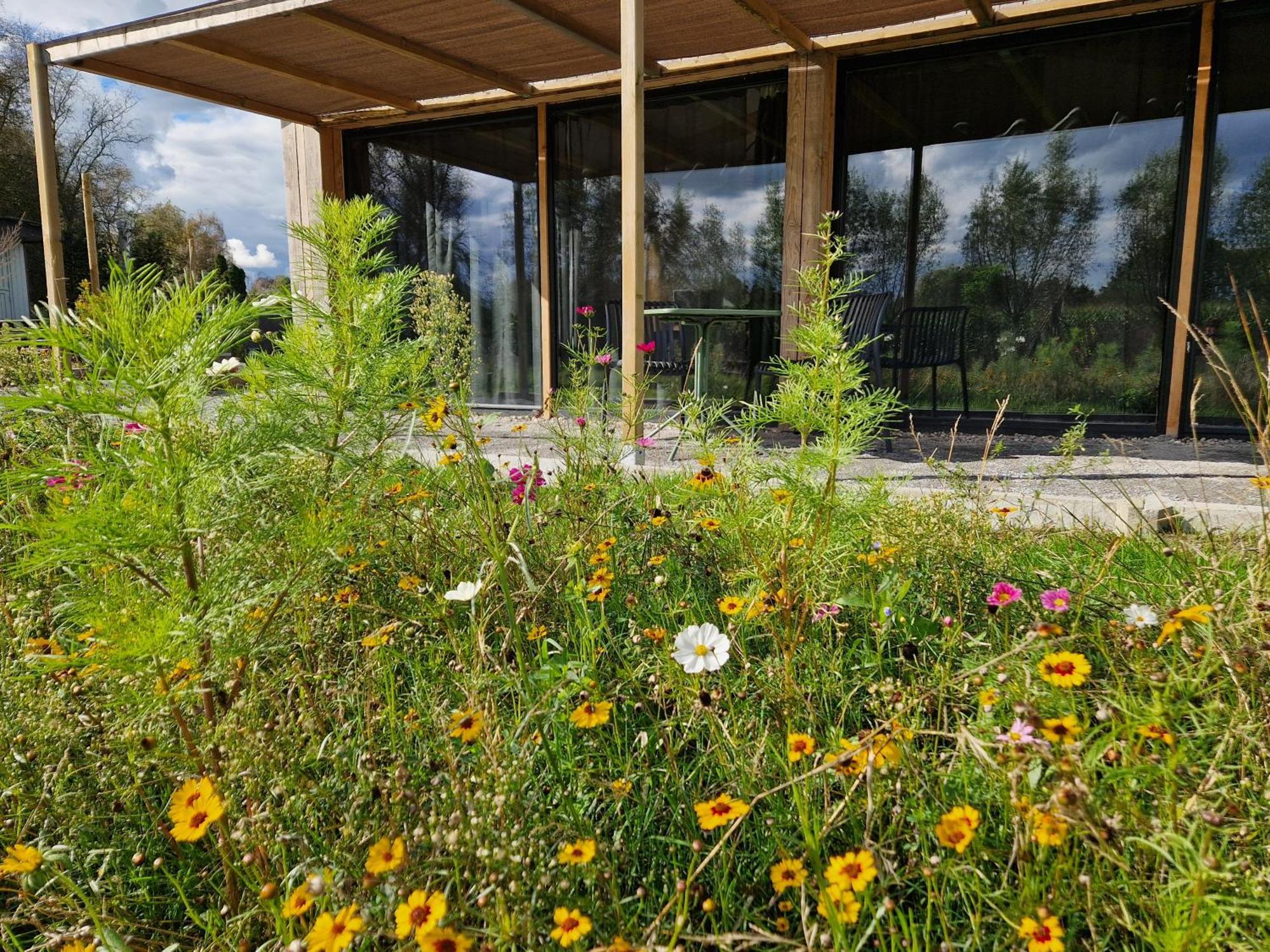 Moergestel De Wilde Tuin - Tuinkamer מראה חיצוני תמונה